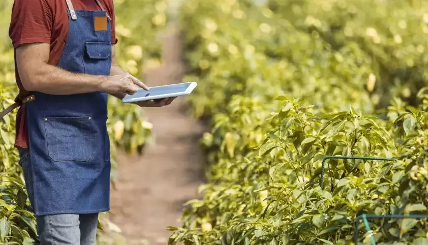 Sebrae promove capacitação para agricultores e produtores do Sertão do Araripe